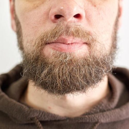 retrato-de-barba-curta-masculina-lábios-e-nariz-masculinos-meia-idade-213056167